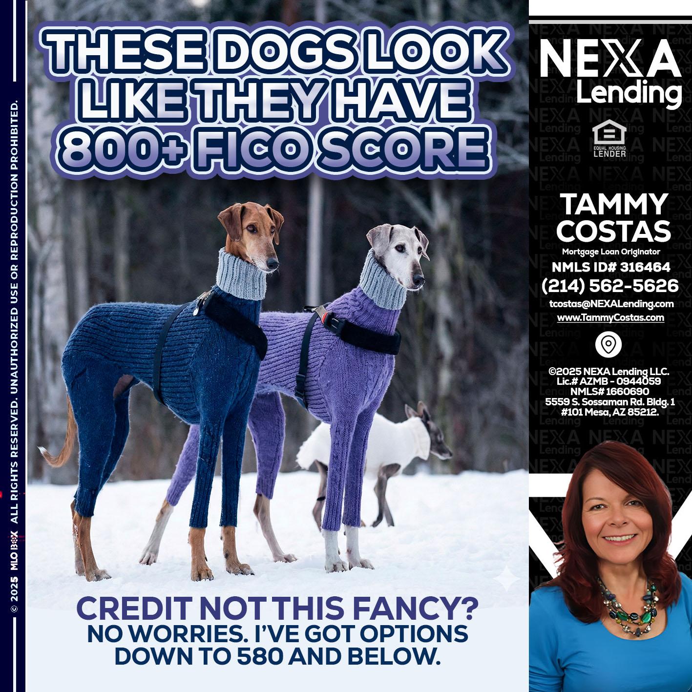 THESE DOGS LOOK - Tammy Costas -Mortgage Loan Originator