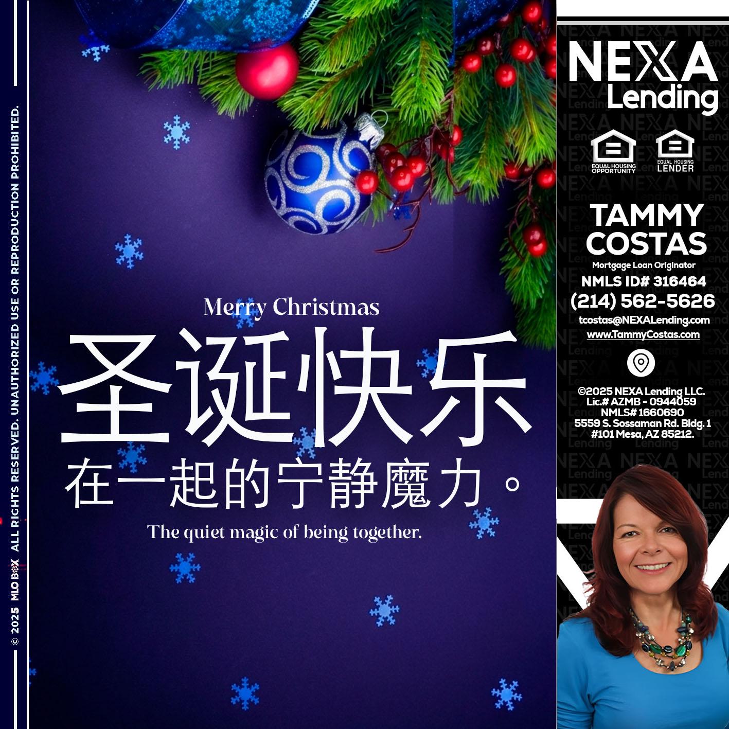 圣诞快乐 在一起的宁静魔力。 - Tammy Costas -Mortgage Loan Originator